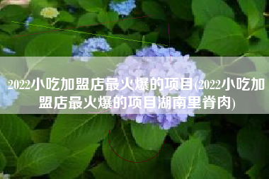 https://www.baifenjiaoyu.com.cn/jiameng/14.html