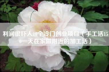 https://www.baifenjiaoyu.com.cn/chuangye/6098.html